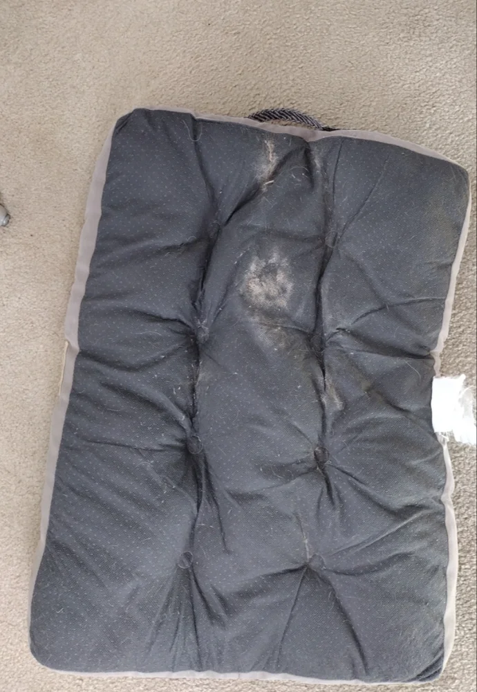 Tan Medium Size Dog Bed